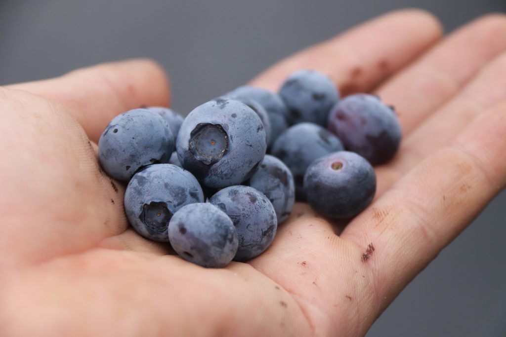 berries on hand gb4a0ab88f 1920