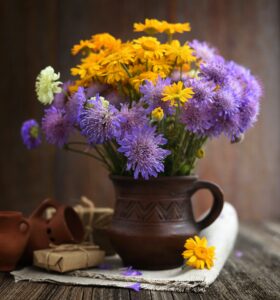 bouquet of wildflowers anthemis tinctoria and knautia arvensis