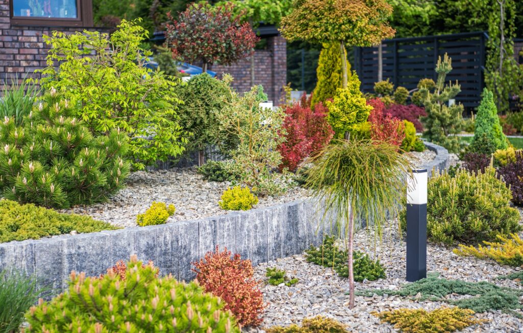 colorful rockery garden with illumination