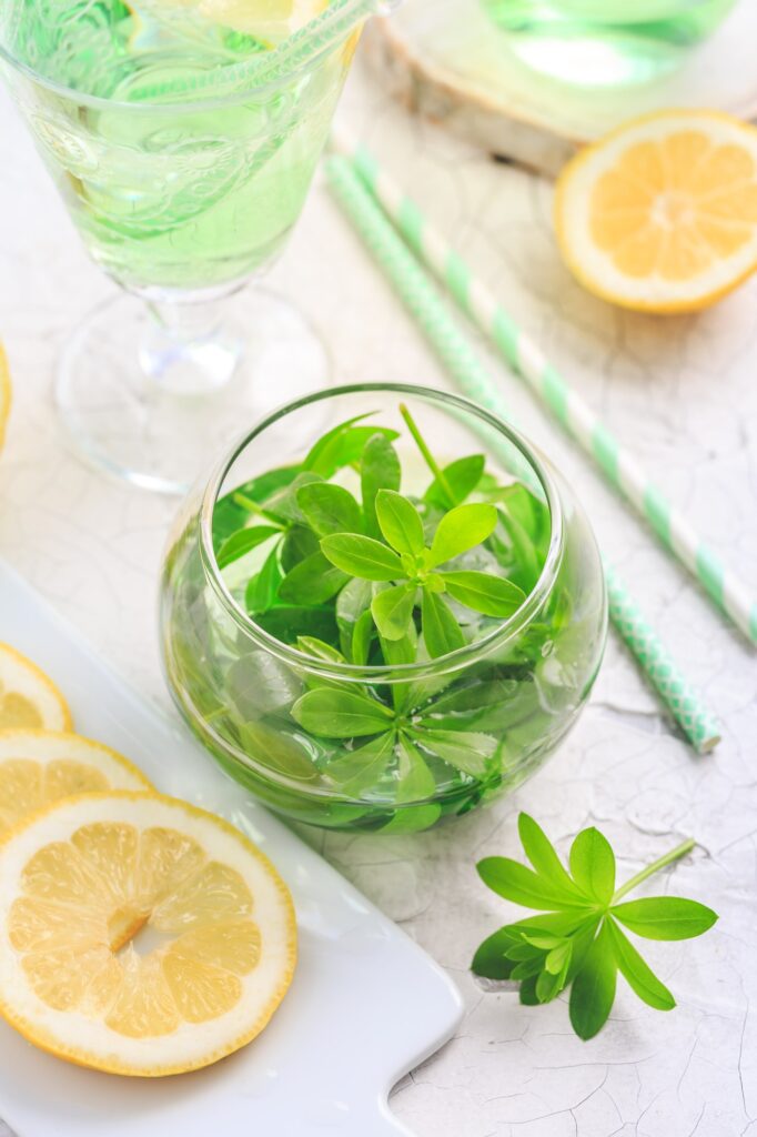 homemade woodruff lemonade with lemon galium odoratum