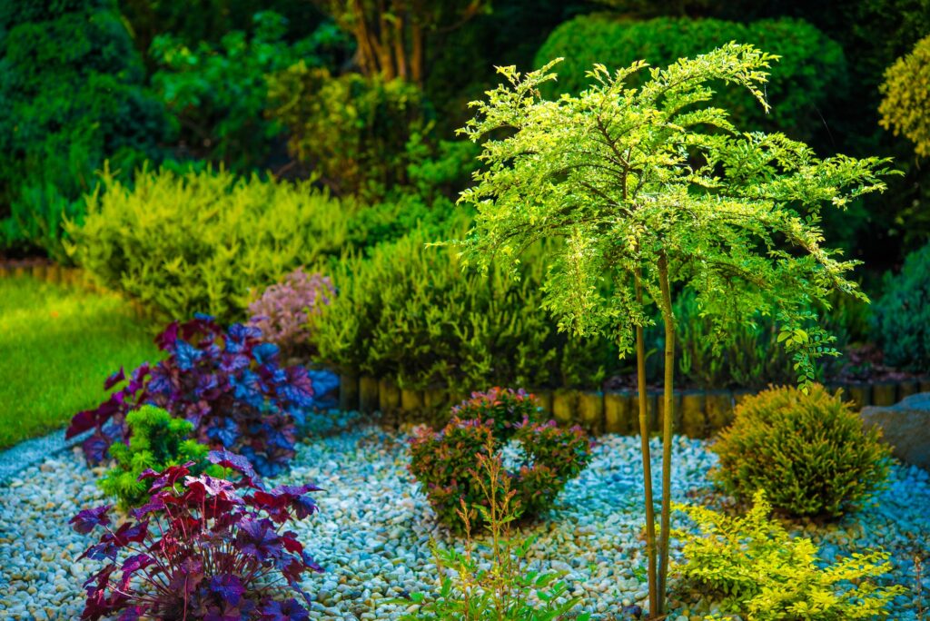 backyard garden closeup