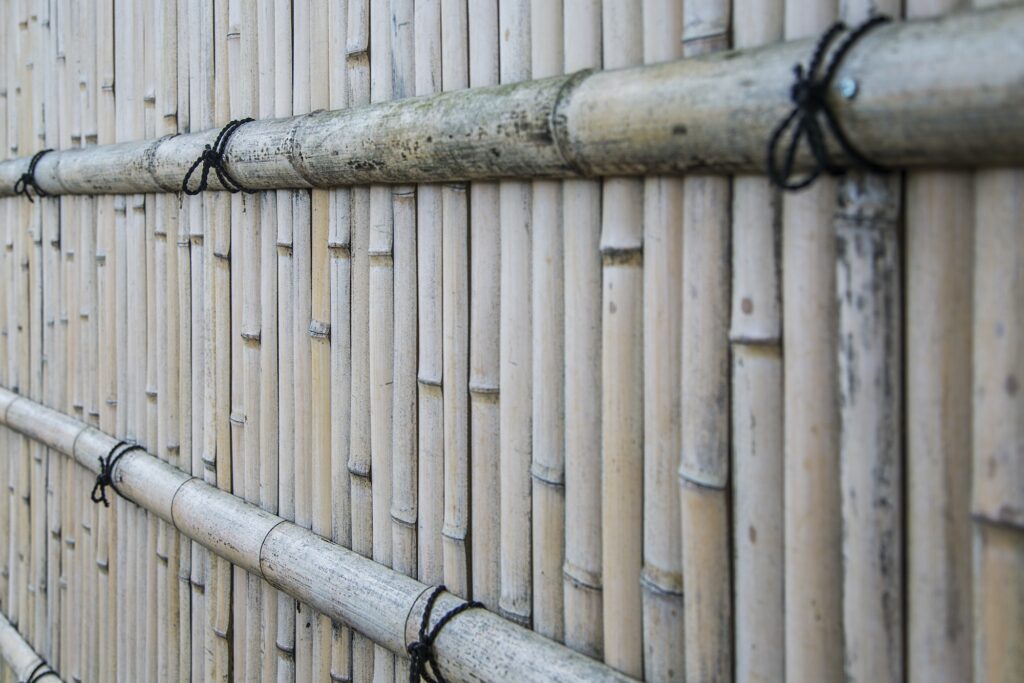 bamboo fence