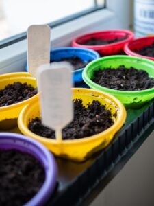 bright and colorful seedling pots