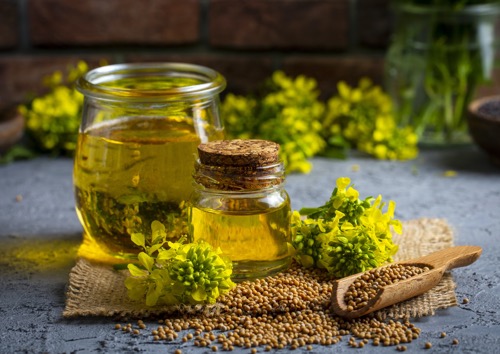 mustard oil in a glass jar and decanter mustard grains on a burlap napkin flowers and leaves 1